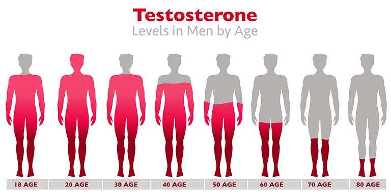 Testosterone levels decline in men as they age